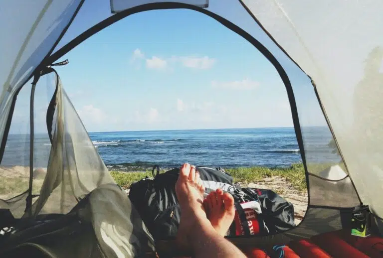 Wine For Camping - Greenskin Wine