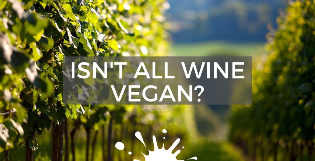Greenskin Wine Introduces Vegan Wine
