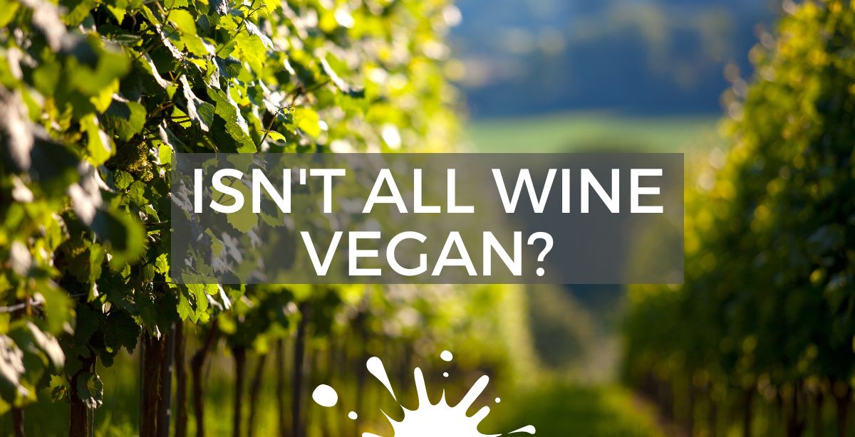 Greenskin Wine Introduces Vegan Wine