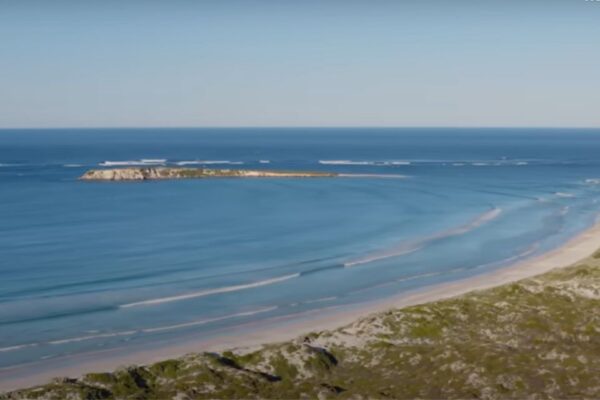 Supporting Coastal Conservation - Greenskin Wine at the WIPA Fundraising Auction