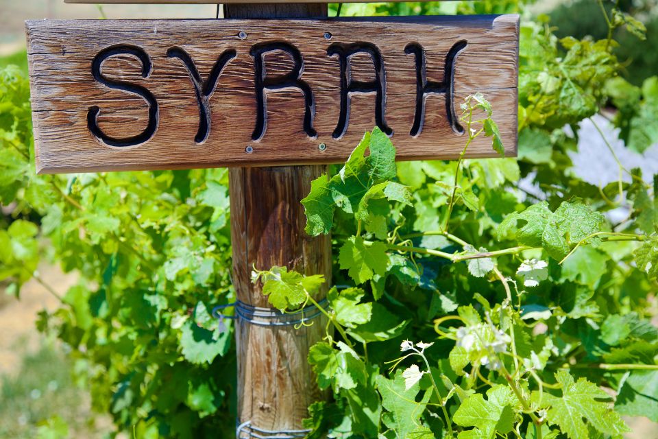 What Is Syrah Wine