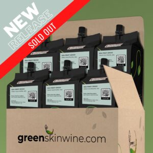 2024 Pinot Grigio - Greenskin Wine - 6-Pack-Sold Out