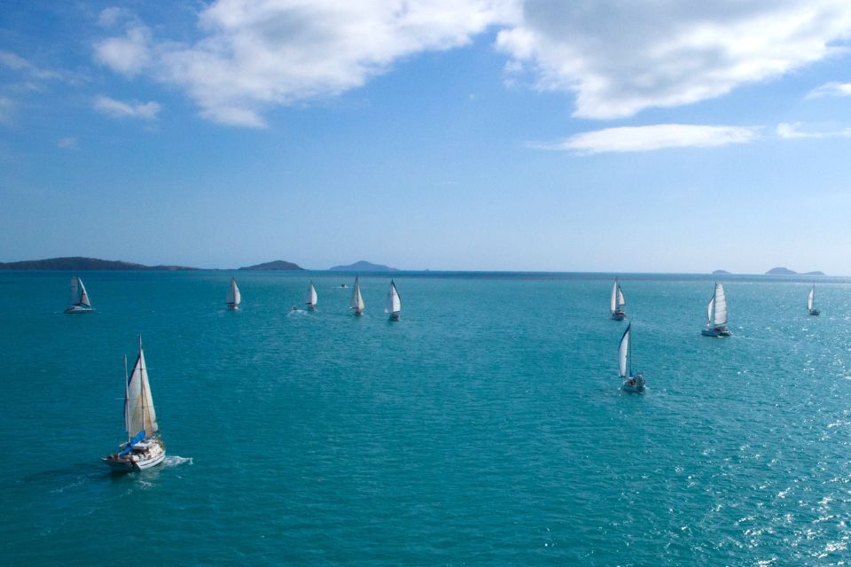 Greenskin Wine Partners with Abell Point Yacht Club