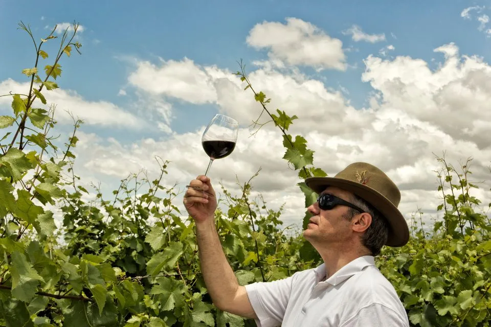 News 20 Why Great Winemakers Sometimes Break The Rules