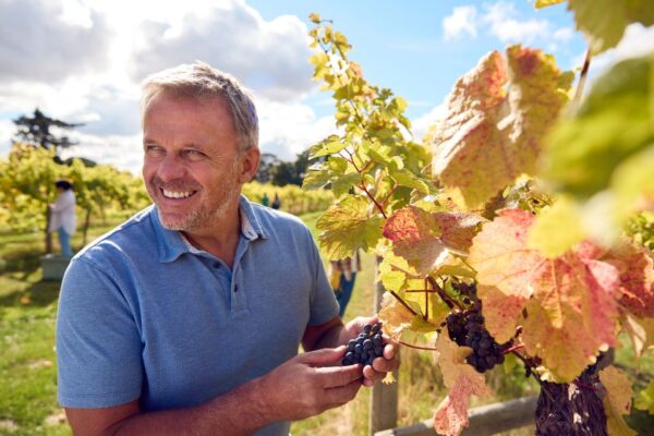 What Does a Winemaker Actually Do
